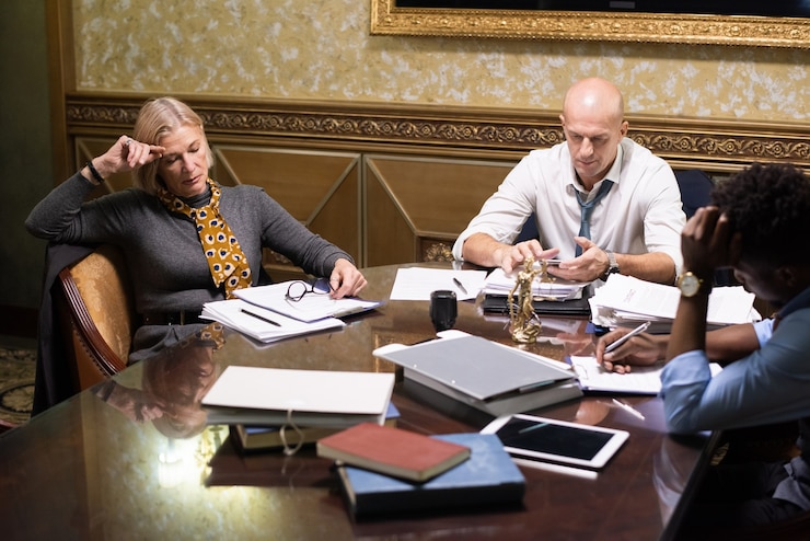 Professional legal services